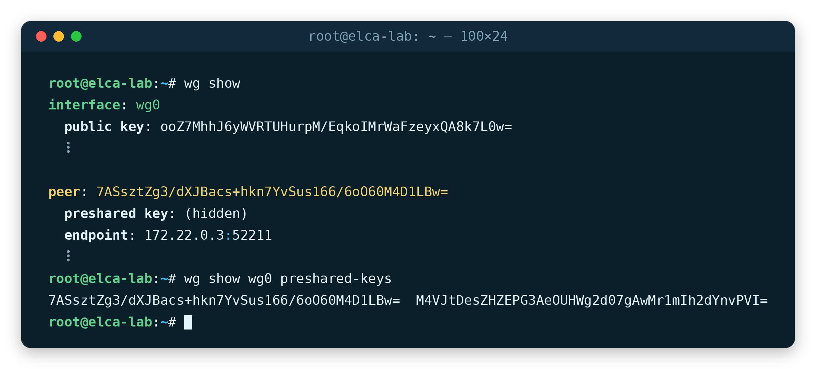 WireGuard peer with a pre-shared key